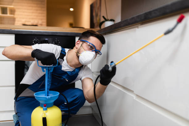 Best Pest Control for Businesses  in Elizabeth Lake, CA