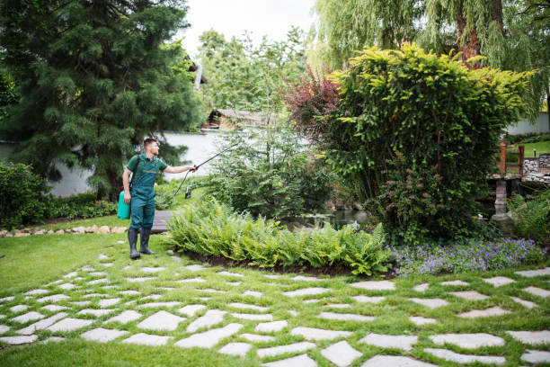 Best Emergency Pest Control  in Elizabeth Lake, CA