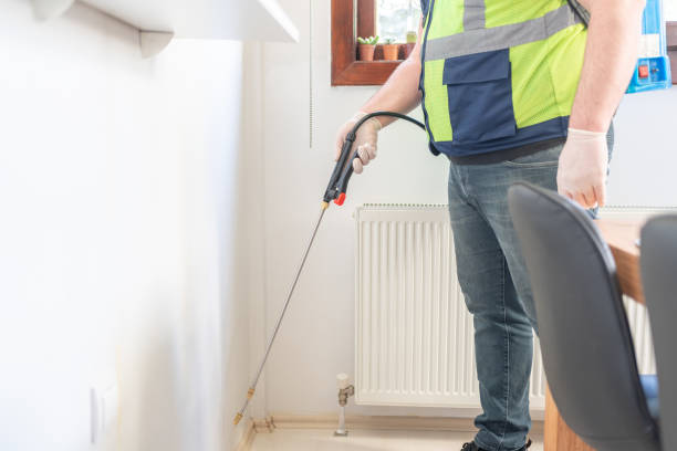 Wasp Removal Services in Elizabeth Lake, CA